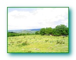 Cliquer pour agrandir